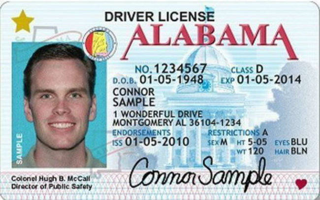 Alabama Driver License Necessities – DrivingTips.com Alabama Driver License Necessities – DrivingTips.com